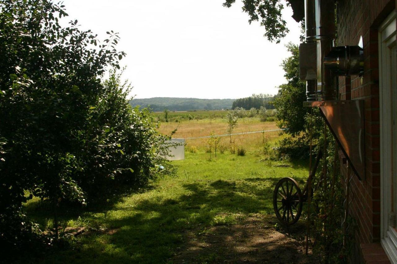 Apartment Hof Schwalbennest Amt Neuhaus Dış mekan fotoğraf